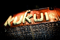 KUKUI-Oxford-Passport to Paradise, BURLESQUE SPECIAL 12022011